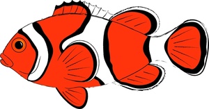 Clownfish clown fish clipart free images 2