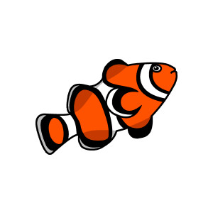 Clownfish clown fish live clipart clipartfox