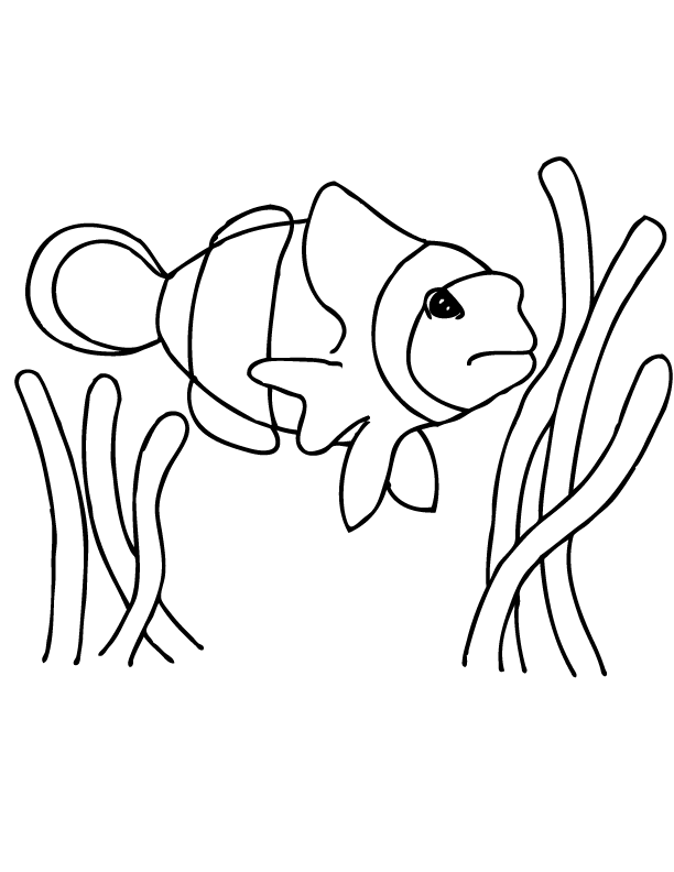 Clownfish free printable coloring page and clipart clown fish