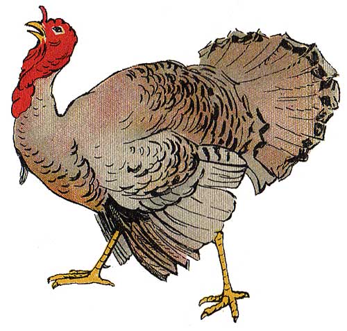 Cooked turkey clipart 2 2