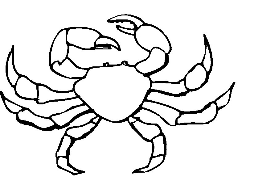 Crab  black and white crab black and white clipart clipart
