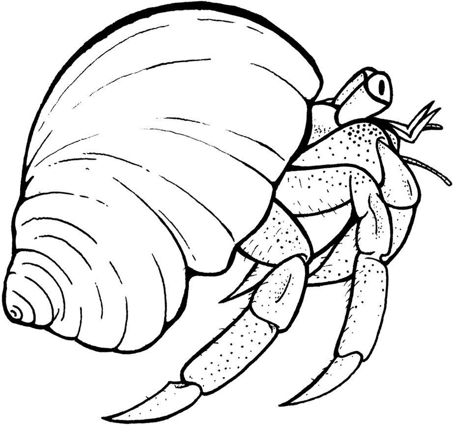 Crab  black and white hermit crab clipart black and white clipartfest 3