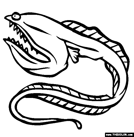 Eel clipart free clipart images