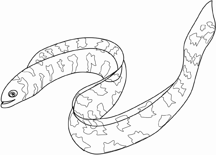 Eel coloring pages of electric fan free download clip art