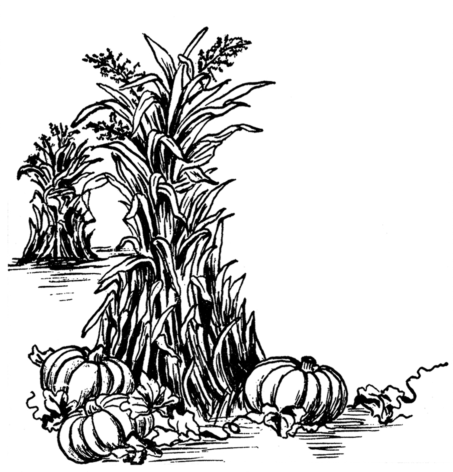 Fall  black and white fall harvest clip art black and white clipartfest 3