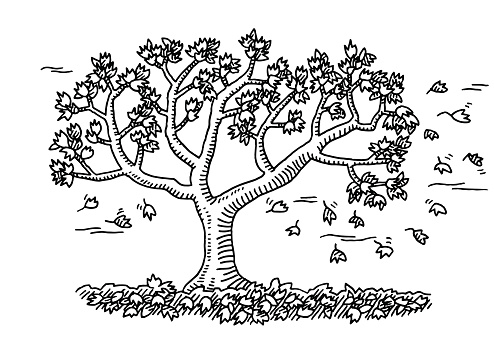 Fall  black and white fall tree clipart black and white clipartfest 2