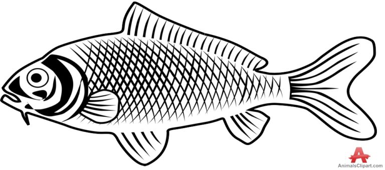 Fish outline freshwater fish clipart outline clipartfest - WikiClipArt