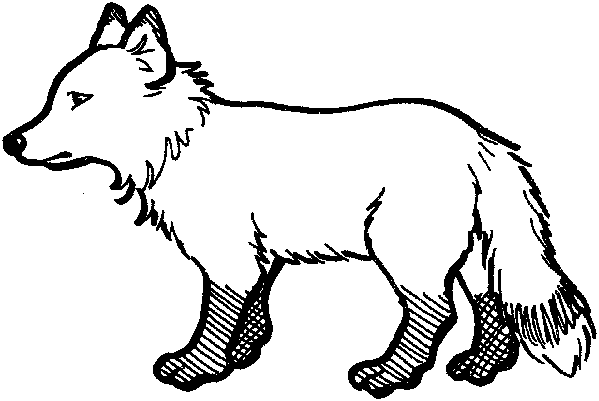 Fox  black and white arctic fox clipart