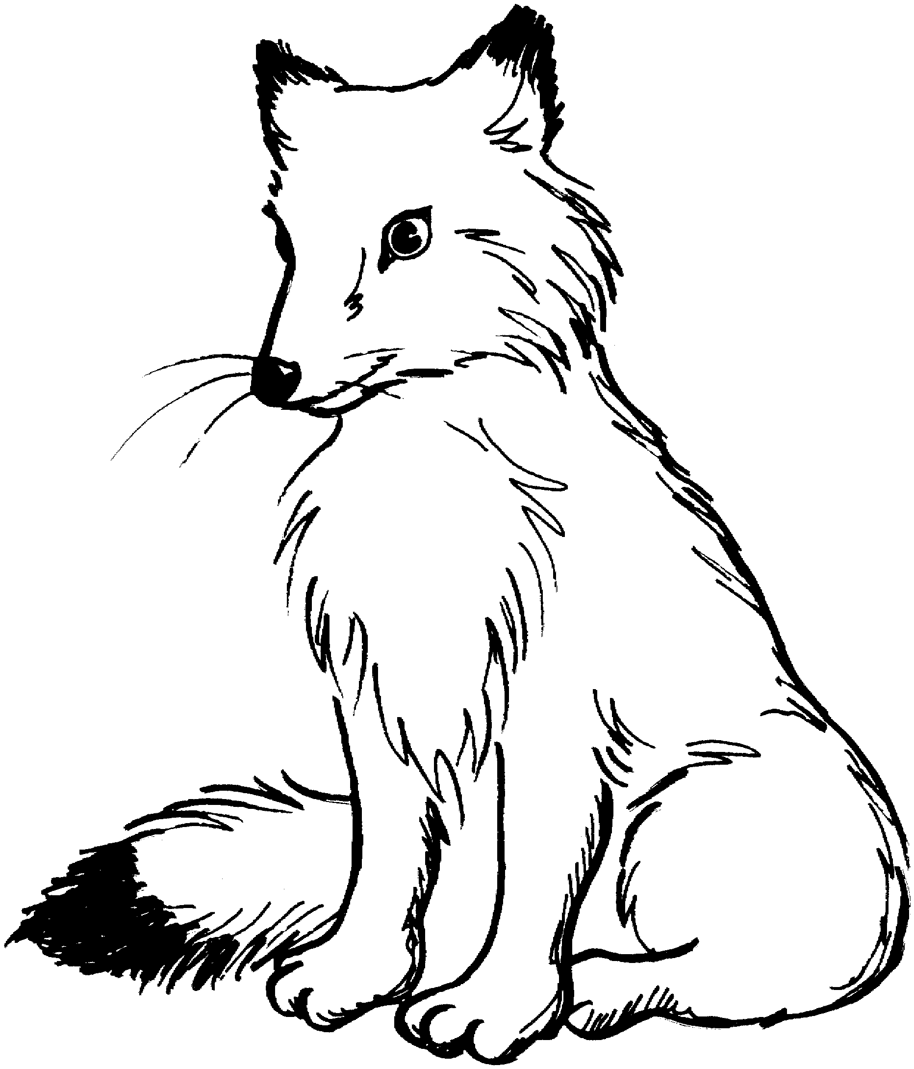 Fox  black and white fox clip art black and white free clipart images