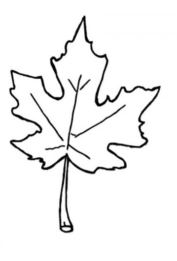 Leaves  black and white autumn leaf clipart black and white clipartfest 4