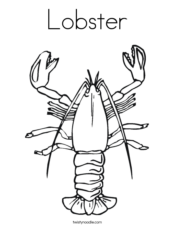Lobster outline 5