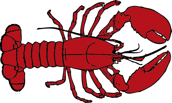Lobster outline clip art at vector clip art