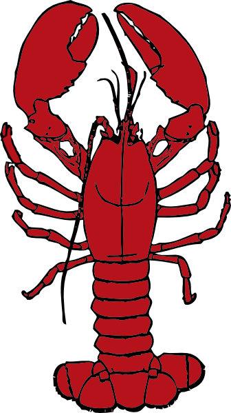 Lobster outline clipart cliparts and others art inspiration