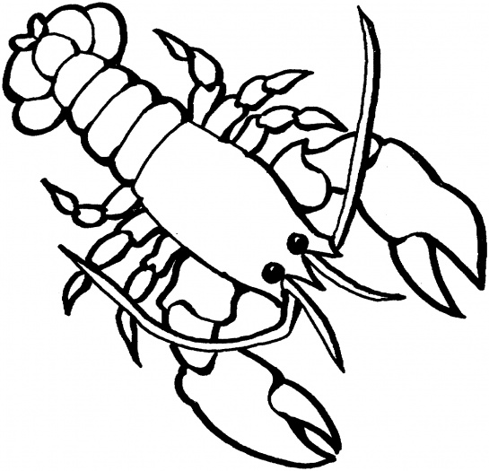 Lobster outline free clipart images