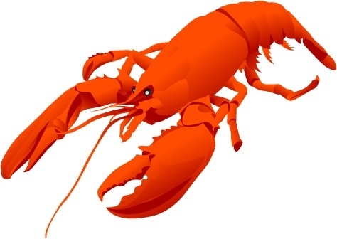Lobster outline free vector download 4 free for