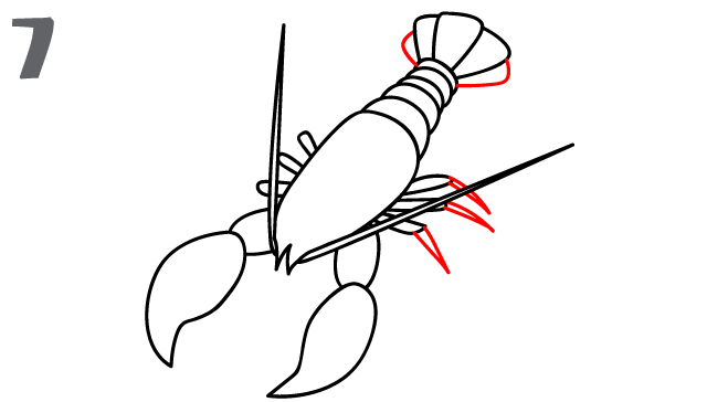 Lobster outline how to draw a lobster step by 2