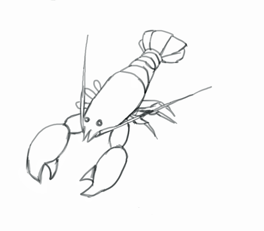 Lobster outline how to draw a lobster step by