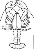 Lobster outline lobster black and white clipart - WikiClipArt