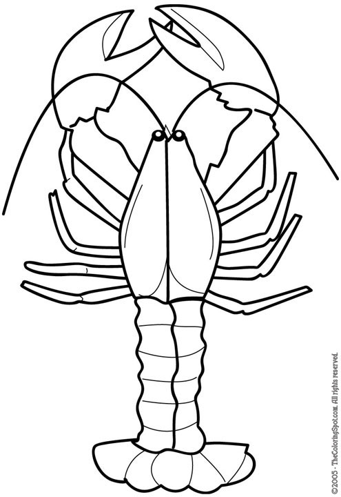 Lobster outline lobster black and white clipart