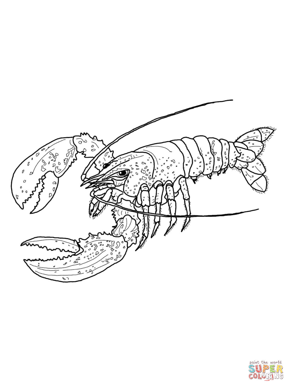Lobster outline lobsters coloring pages free coloring pages 2