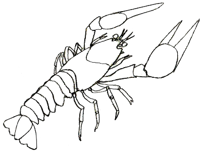 Lobster outline outline of lobster clipart 3