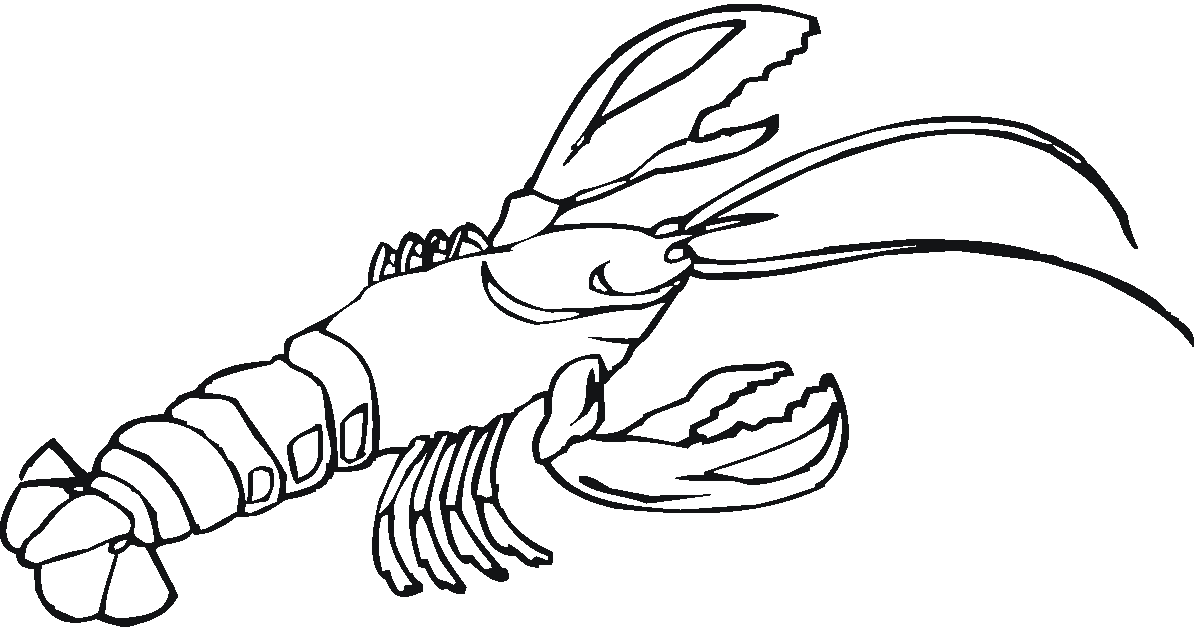 Lobster outline outline of lobster clipart