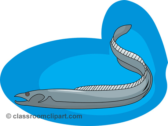 Marine life clipart eel 2