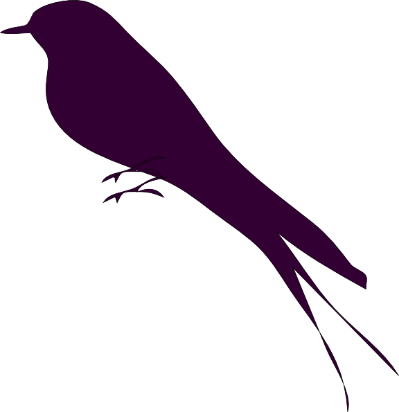 Mockingbird small bird on a branch clip art at vector clip art