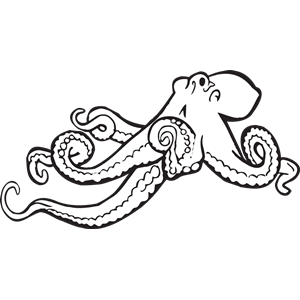Octopus  black and white cliparts red octopus clipart