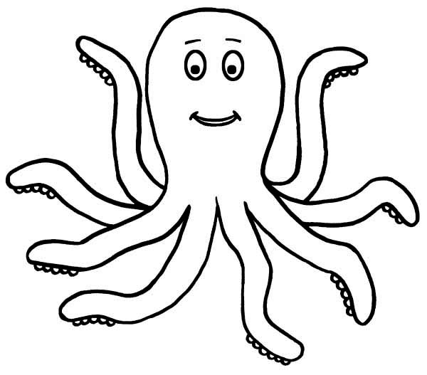 Octopus  black and white octopus coloring template octopus clip art black and white 2