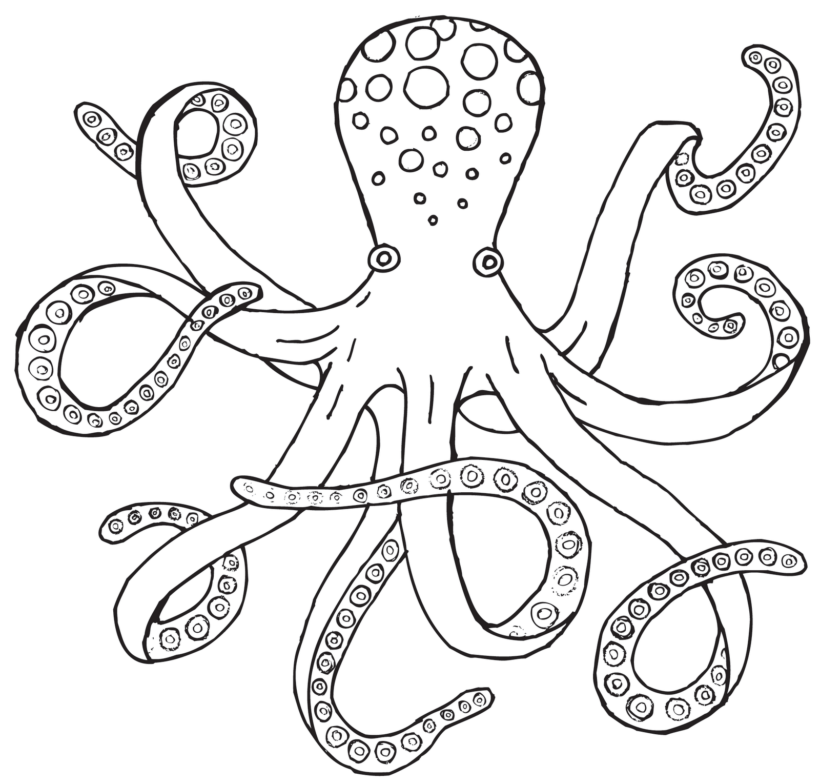 Octopus  black and white octopus drawing black and white clipart