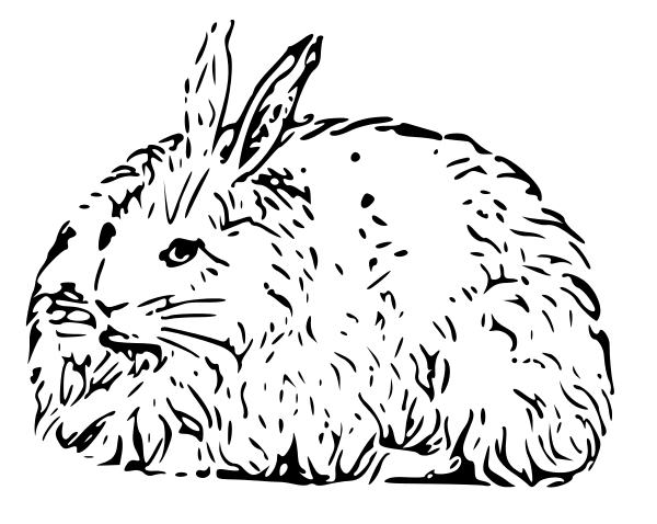 Rabbit  black and white free black and white rabbit clipart 1 page of clip art 3