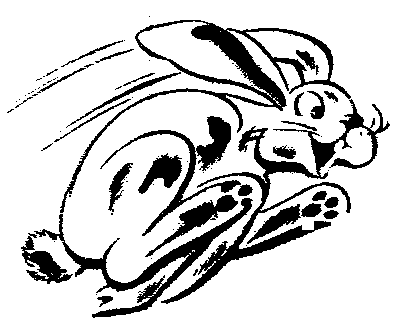 Rabbit  black and white free black and white rabbit clipart 1 page of free to use images