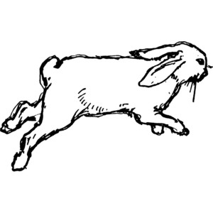 Rabbit  black and white running rabbit clipart black and white clipartfest