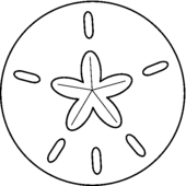 Sand dollar clip art 4 2 - WikiClipArt