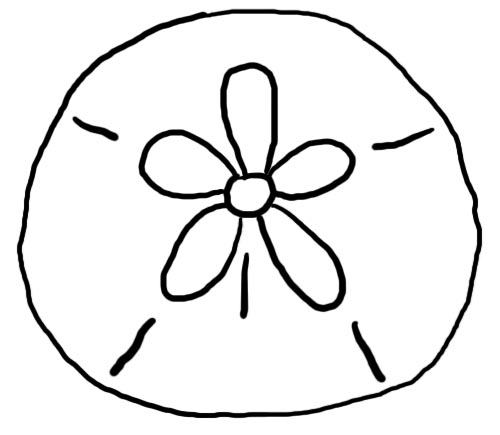 Sand dollar clipart black and white free 5