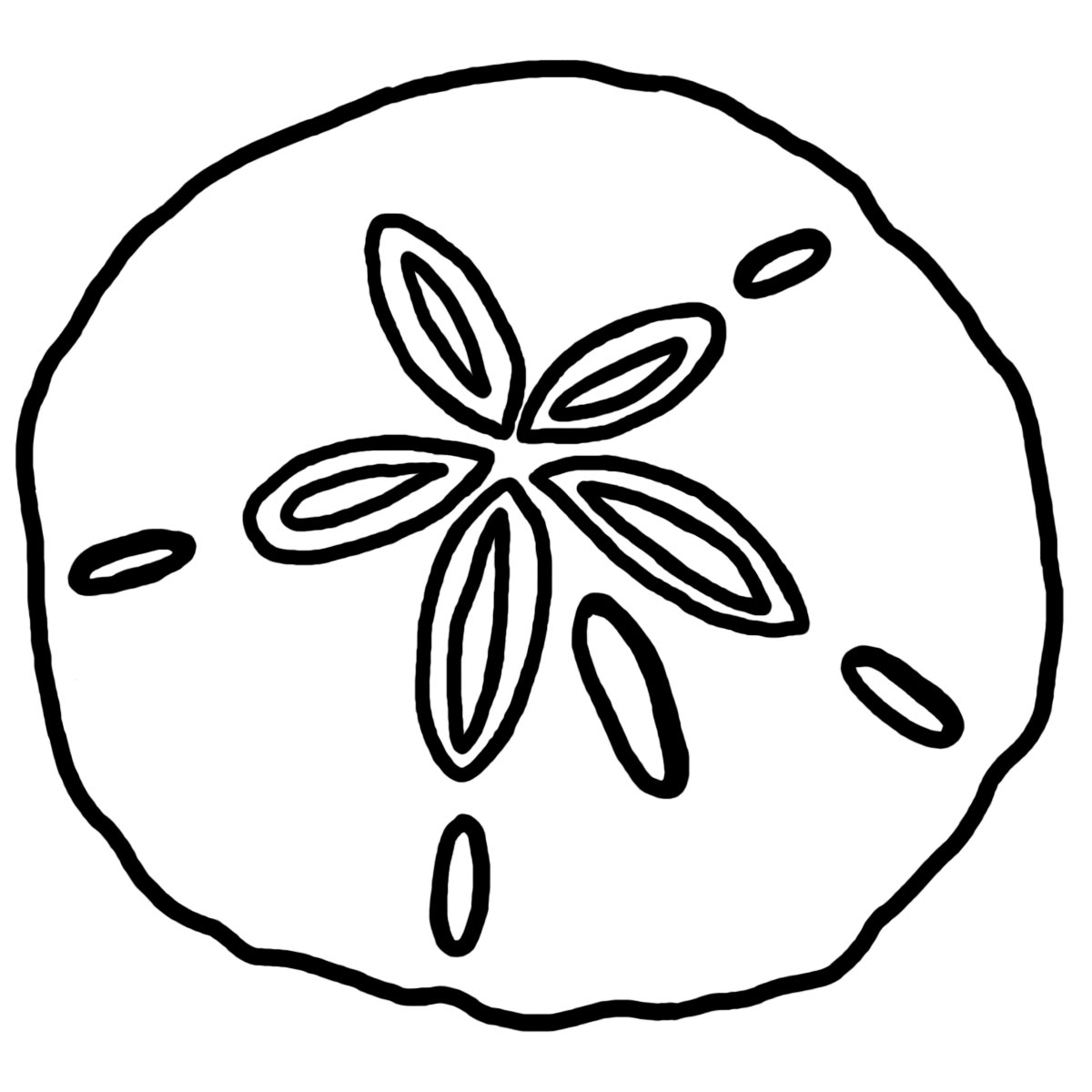 Sand dollar clipart black and white free