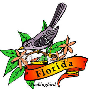State bird florida the mockingbird free clipart