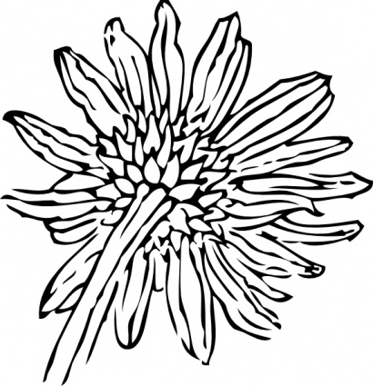 Sunflower  black and white free sunflower clipart download clip art