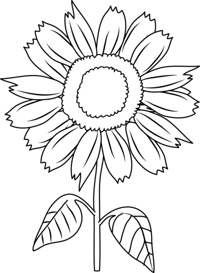 Sunflower  black and white sunflower clipart black and white free clipartfest