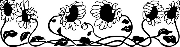 Sunflower  black and white sunflower clipart to download