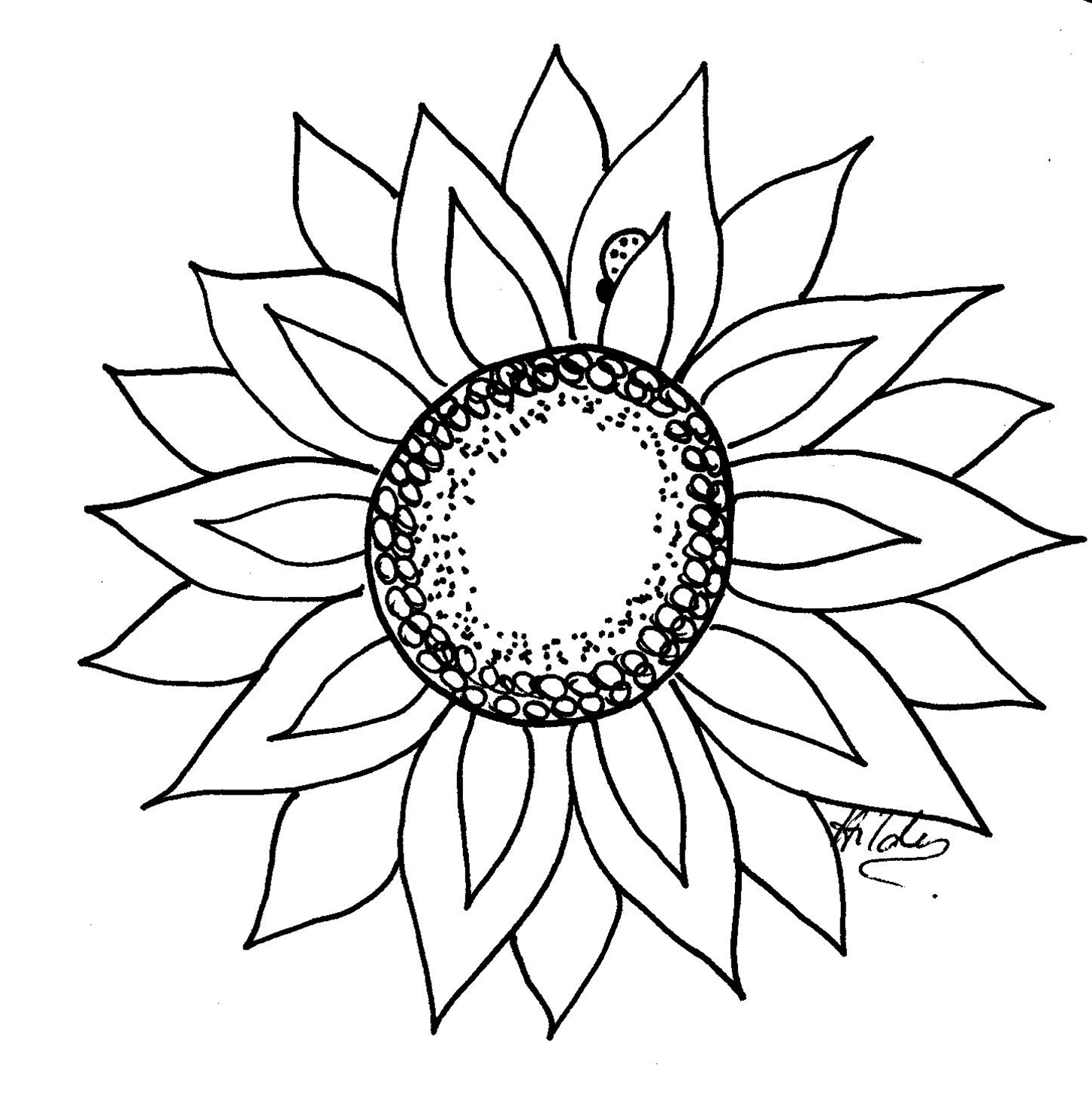 Sunflower  black and white sunflower outline clipart
