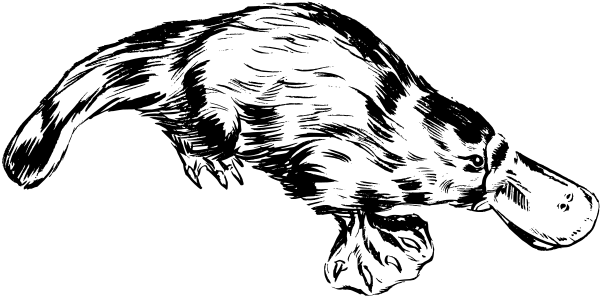 Free platypus clipart 1 page of clip art