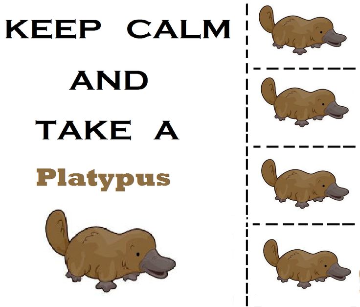 Images about duckbill platypus on clip art 3