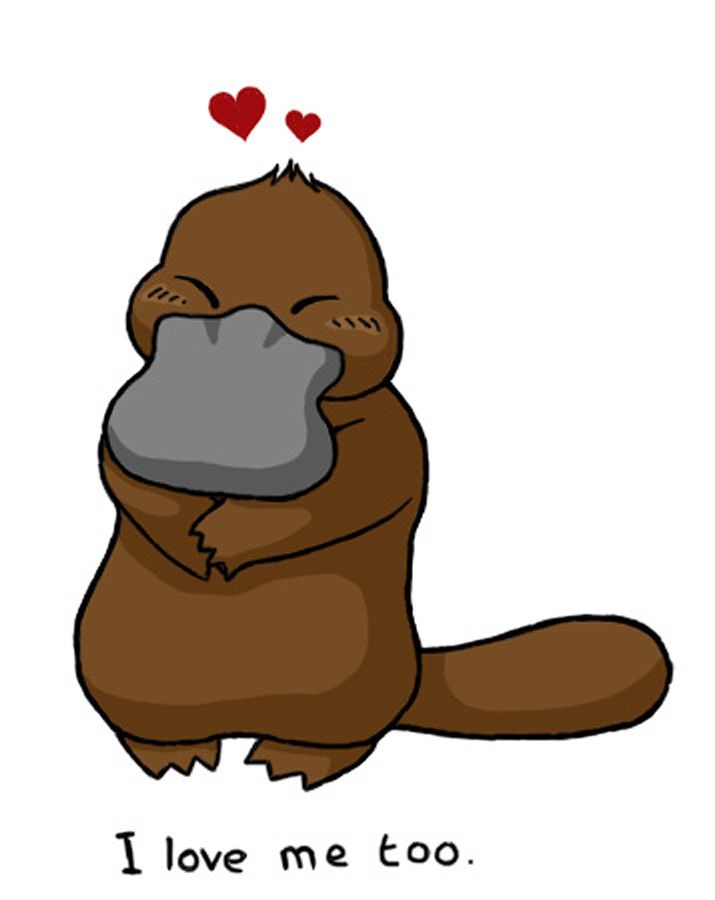 Images about platypus on baby toys videos of clip art