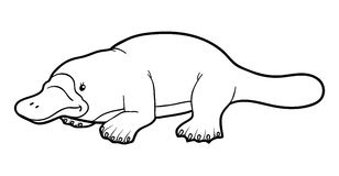 Platypus clipart black and white clipartfest