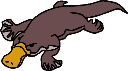 Platypus clipart free images 4