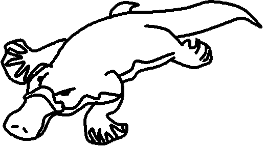 Platypus clipart free images 7