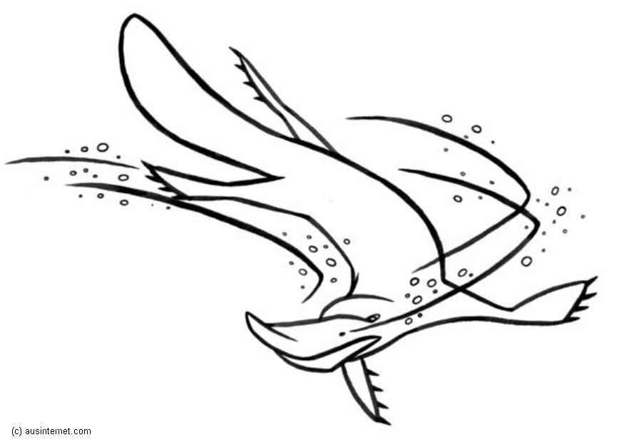 Platypus pictures cartoon free download clip art 3