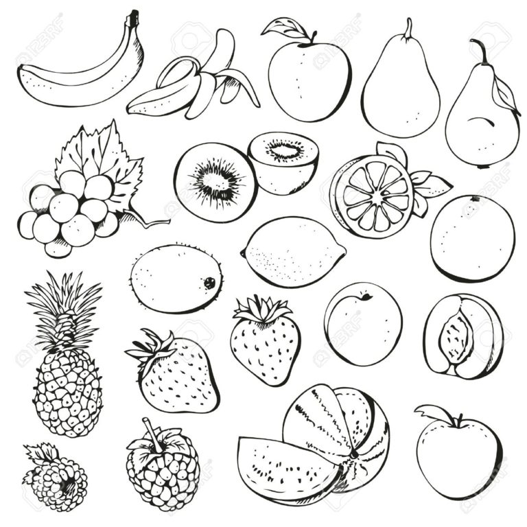 Fruit black and white kiwi fruit clipart black and white clipartfox ...